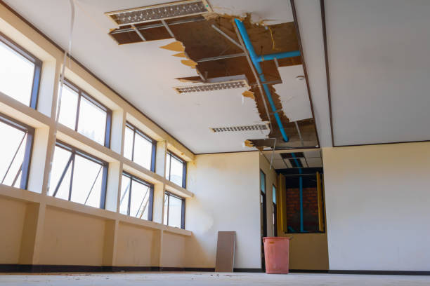 Best Professional water damage repair  in Almont, MI