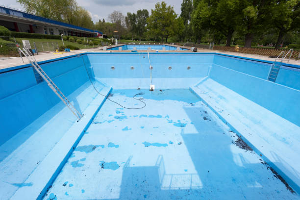 Best Residential water damage restoration  in Almont, MI